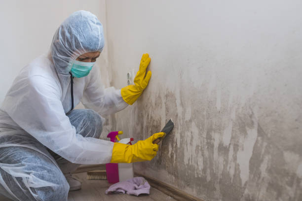 Best Airborne Mold Testing  in Globe, AZ