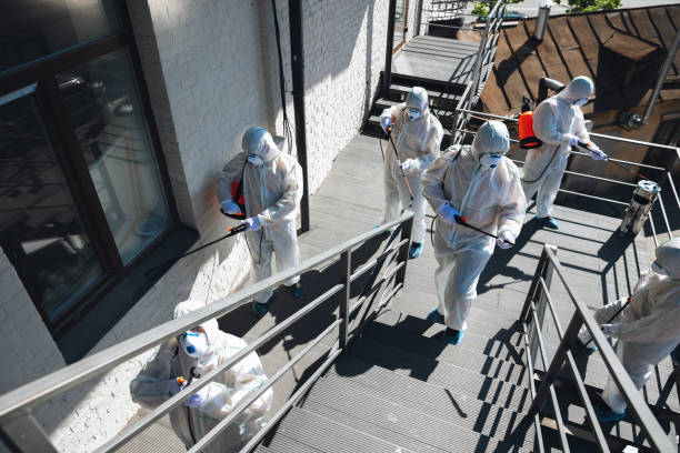 Biohazard Mold Removal in Globe, AZ