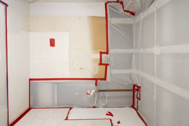 Best Dehumidification Services  in Globe, AZ