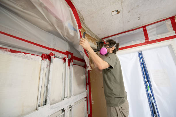 Best Mold-Related Health Consultation  in Globe, AZ