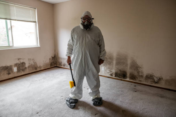Best Air Quality Testing for Mold Spores  in Globe, AZ